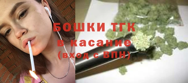 мдпв Верхний Тагил
