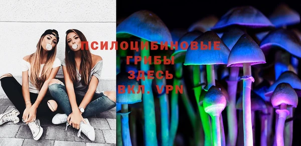 spice Бородино