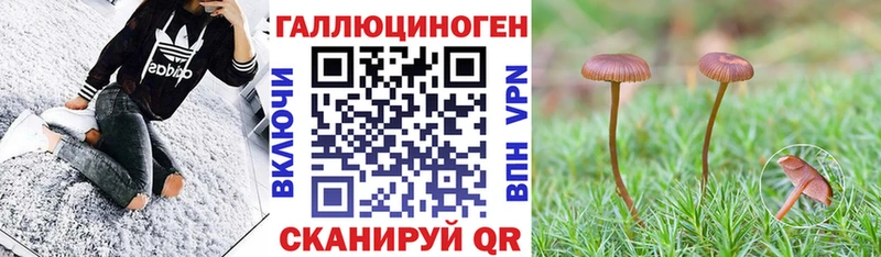 купить   Мензелинск  hydra рабочий сайт  Галлюциногенные грибы Psilocybine cubensis 